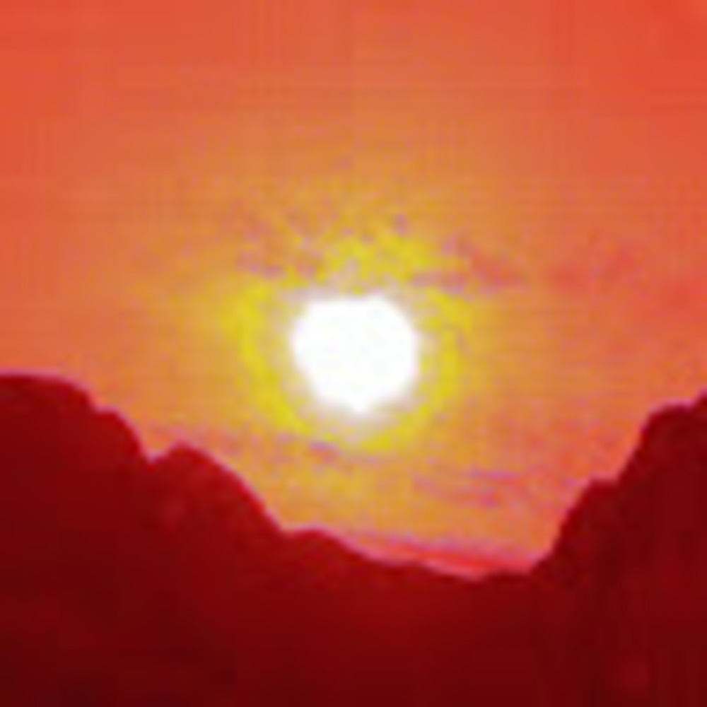 Meet your Posher, Anya